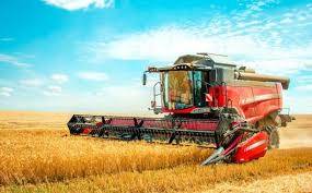 Protecting Our Wheat Crop: A Top Priority